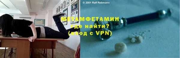 индика Новодвинск