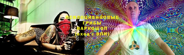 шишки Беломорск