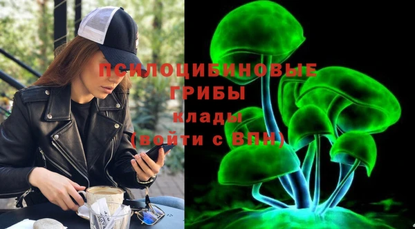 шишки Беломорск