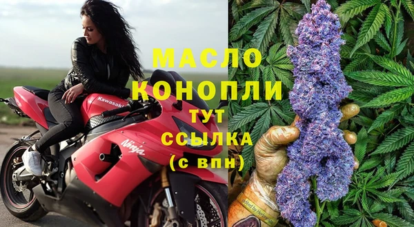 МДПВ Богородск