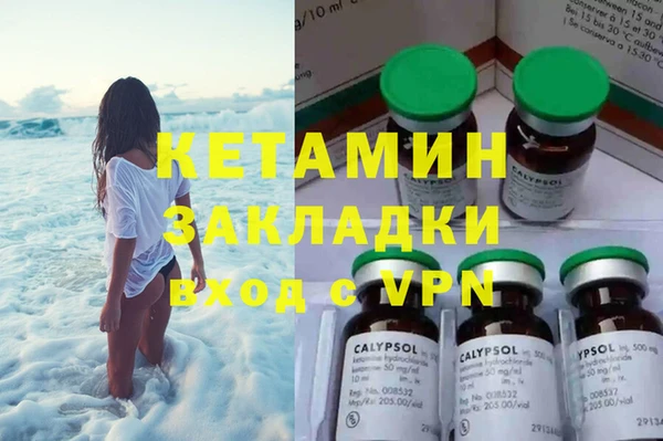 шишки Беломорск
