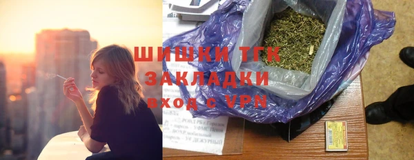 шишки Беломорск