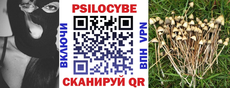 Псилоцибиновые грибы MAGIC MUSHROOMS Барыш